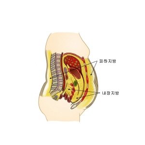 꽁타 꽁머니 먹튀검증 보증업체 꽁머니 환전